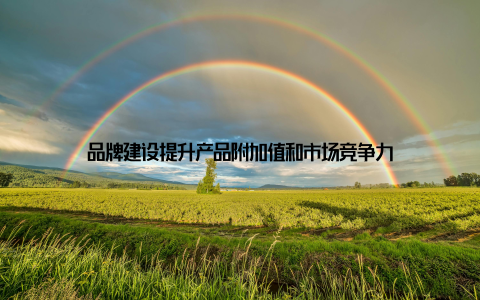 品牌建设提升产品附加值和市场竞争力