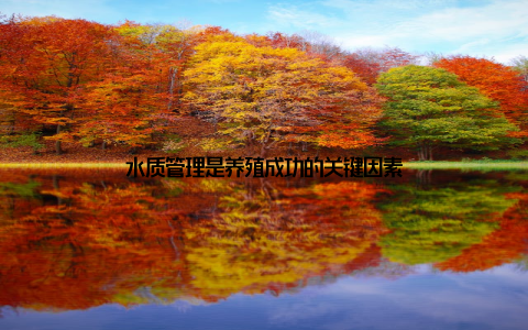 水质管理是养殖成功的关键因素