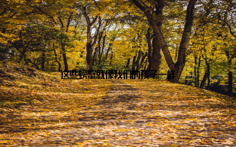 这些螃蟹就像我们的孩子一样