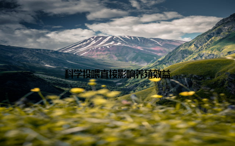 科学投喂直接影响养殖效益