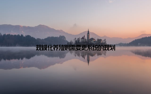 规模化养殖则需要更系统的规划