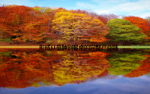 – 形成从苗种到餐桌的完整产业链