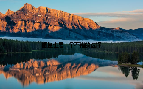 鲫鱼也是一个不错的选择