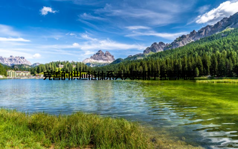 完善的供应链体系大大降低了经营风险