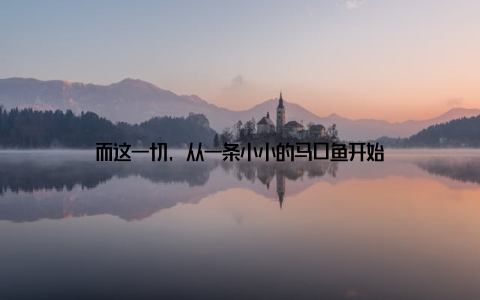 而这一切, 从一条小小的马口鱼开始