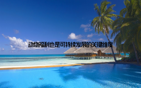 动物福利也是可持续发展的关键维度