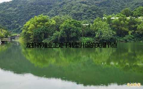 龙虾养殖业正处于转型升级的关键节点