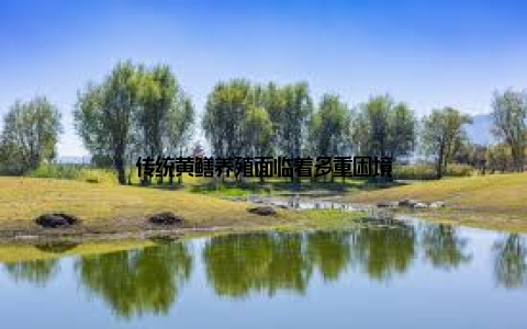 传统黄鳝养殖面临着多重困境