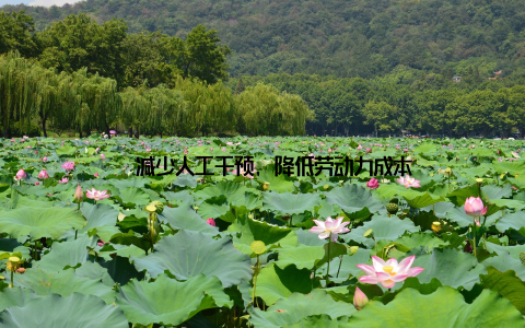 – 减少人工干预, 降低劳动力成本