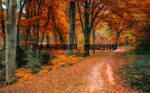 即便遇到极端情况, 也能稳住阵脚