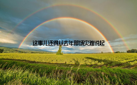 这事儿还得从去年那场灾难说起