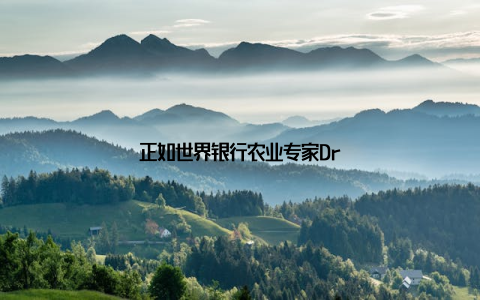 正如世界银行农业专家Dr