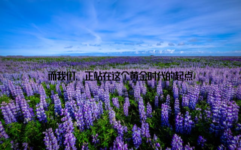 而我们, 正站在这个黄金时代的起点