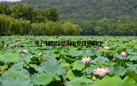 生产辅助设备用电呈现周期性