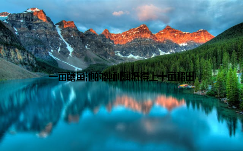 一亩鳝鱼池的纯利润抵得上十亩稻田