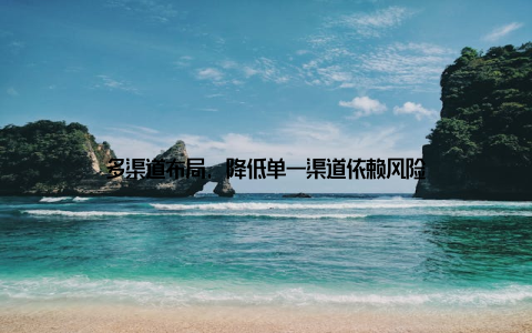 多渠道布局, 降低单一渠道依赖风险