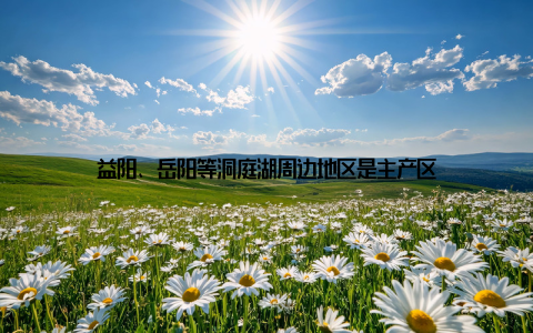 益阳、岳阳等洞庭湖周边地区是主产区