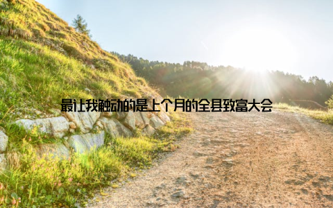 最让我触动的是上个月的全县致富大会