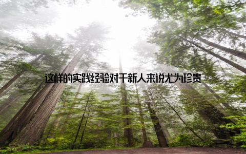 这样的实践经验对于新人来说尤为珍贵