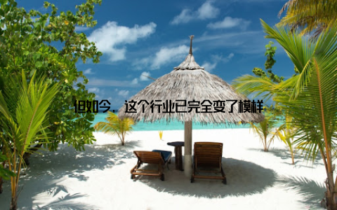 但如今, 这个行业已完全变了模样