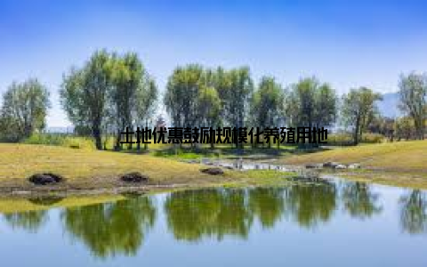 – 土地优惠鼓励规模化养殖用地