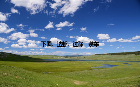 下网、选虾、过称、装车