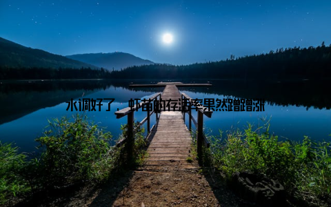 水调好了, 虾苗的存活率果然蹭蹭涨