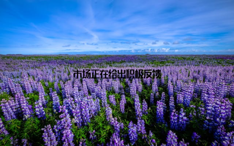 市场正在给出积极反馈