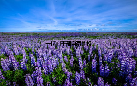 一位村干部自豪地说