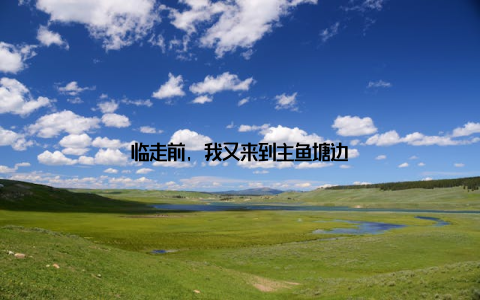 临走前, 我又来到主鱼塘边