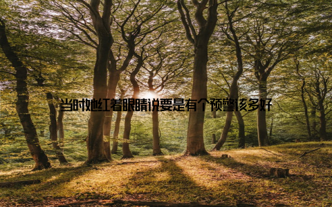 当时她红着眼睛说要是有个预警该多好