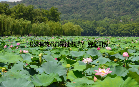 Q没有技术背景能做吗? 完全可以