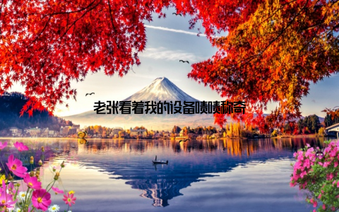 老张看着我的设备啧啧称奇