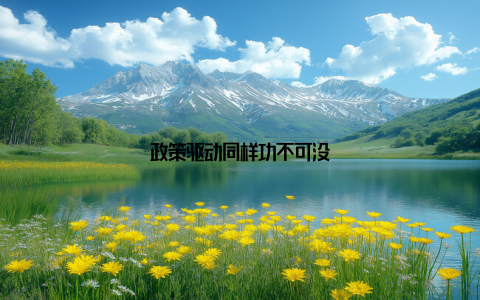 政策驱动同样功不可没