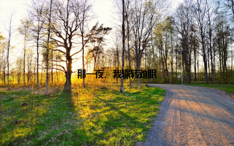 那一夜, 我辗转难眠