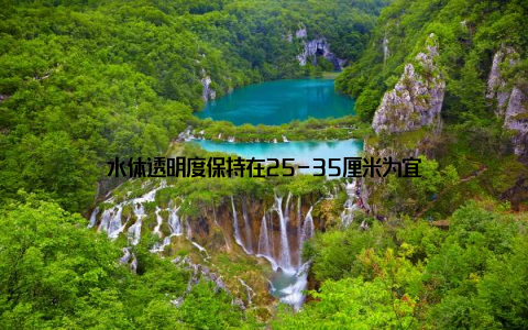 水体透明度保持在25-35厘米为宜