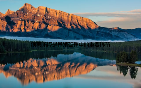 病害防控是养殖管理中的重要环节